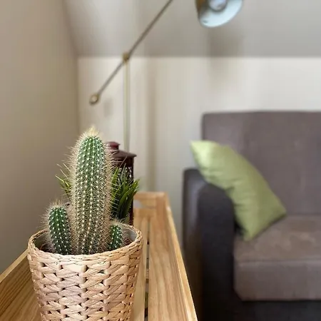 בית נופש Family House Near To Baltic Sea In 